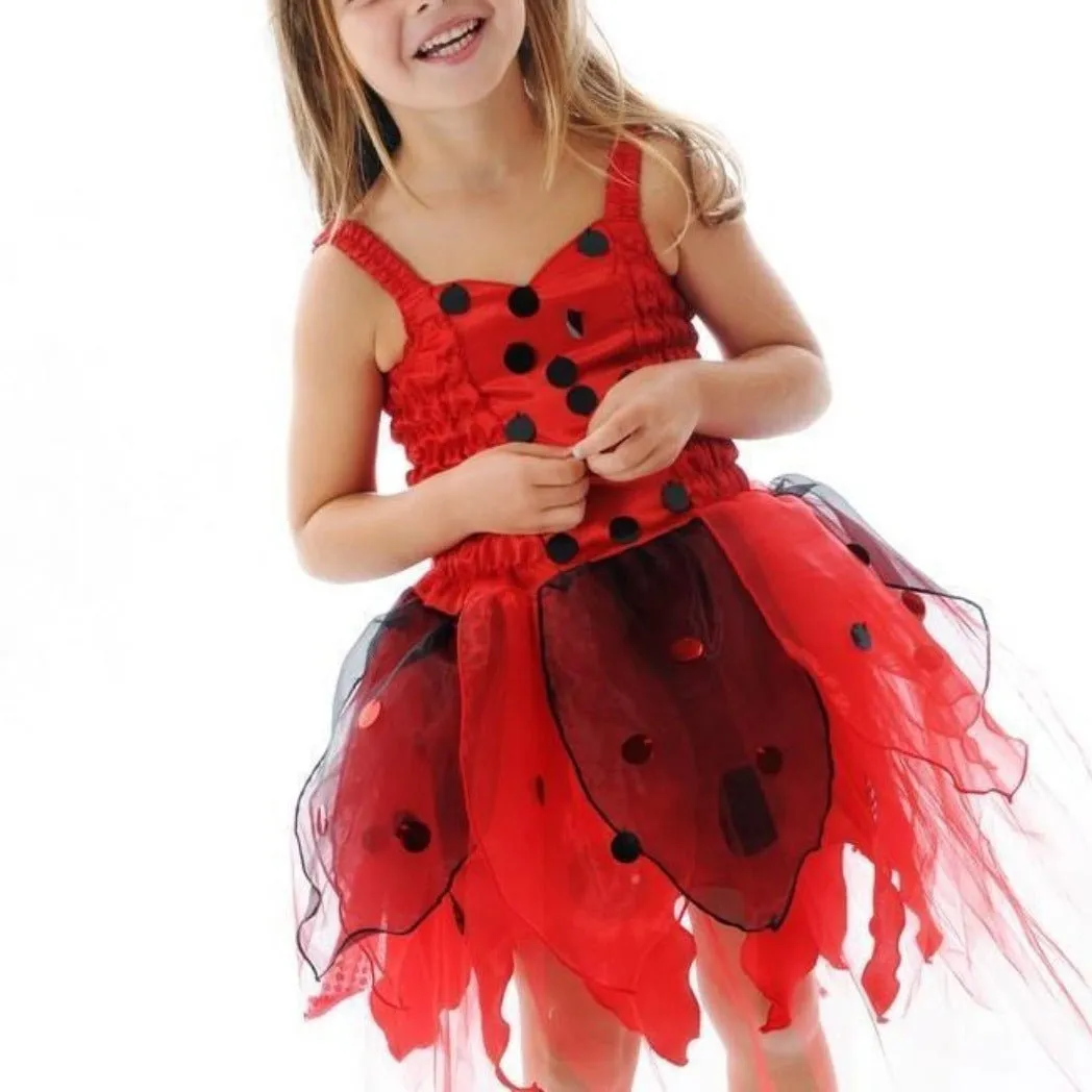 Ladybug Fairy Dress