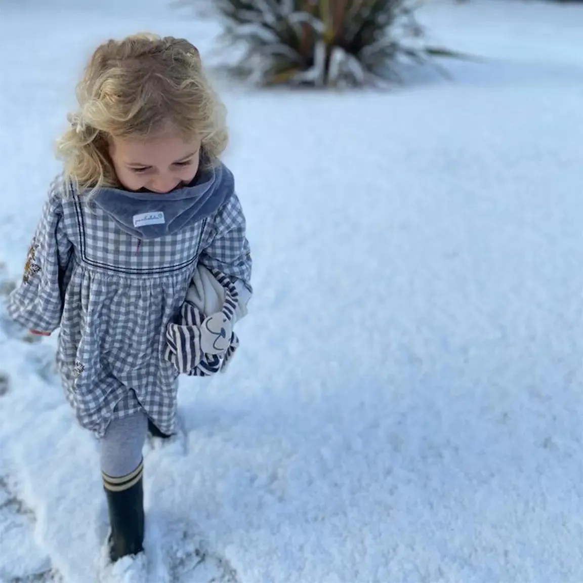 Organic Snood